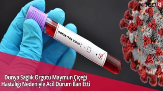Dünya Sağlık Örgütü Maymun Çiçeği Hastalığı Nedeniyle Acil Durum İlan Etti