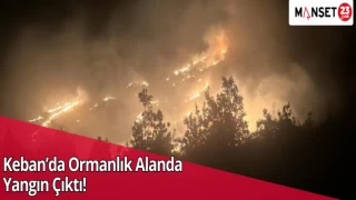 Keban’da Ormanlık Alanda Yangın Çıktı!