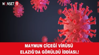 MAYMUN ÇİÇEĞİ VİRÜSÜ ELAZIĞ'DA GÖRÜLDÜ İDDİASI.!