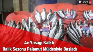 Av Yasağı Kalktı, Balık Sezonu Palamut Müjdesiyle Başladı