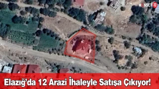 Elazığ’da 12 Arazi İhaleyle Satışa Çıkıyor!