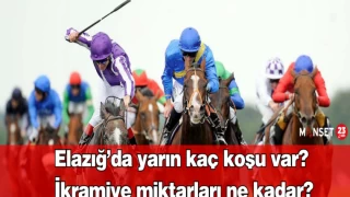 Elazığ’da yarın kaç koşu var? İkramiye miktarları ne kadar?