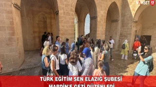 Türk Eğitim Sen Elazığ Şubesi Mardin'e Gezi Düzenledi