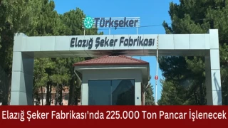 Elazığ Şeker Fabrikası'nda 225.000 Ton Pancar İşlenecek
