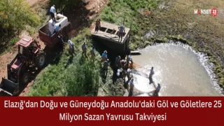 Elazığ'dan Doğu ve Güneydoğu Anadolu'daki Göl ve Göletlere 25 Milyon Sazan Yavrusu Takviyesi