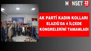 AK Parti kadın kolları Elazığ'da 4 ilçede kongrelerini tamamladı