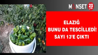 Elazığ bunu da tescilledi! Sayı 13’e çıktı