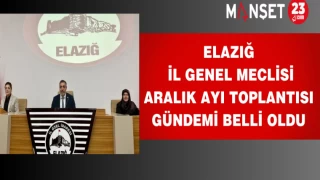 Elazığ İl Genel Meclisi Aralık Ayı toplantısı gündemi belli oldu