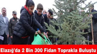 Elazığ’da 2 Bin 300 Fidan Toprakla Buluştu
