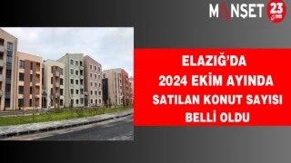 Elazığ’da 2024 Ekim ayında satılan konut sayısı belli oldu