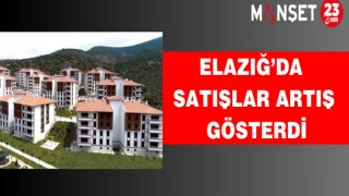 Elazığ’da satışlar artış gösterdi