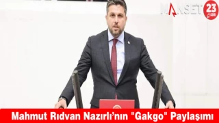 Mahmut Rıdvan Nazırlı’nın "Gakgo" Paylaşımı