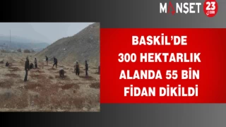 Baskil’de 300 hektarlık alanda 55 bin fidan dikildi