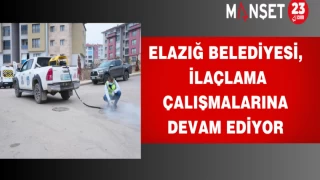 Elazığ Belediyesi, İlaçlama Çalışmalarına Devam Ediyor