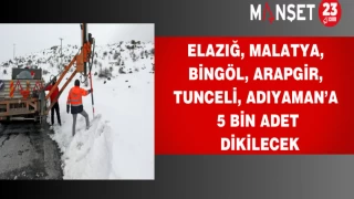 Elazığ, Malatya, Bingöl, Arapgir, Tunceli, Adıyaman’a 5 Bin adet dikilecek