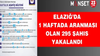 Elazığ’da 1 Haftada Aranması Olan 295 Şahıs Yakalandı