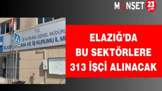 Elazığ’da bu sektörlere 313 işçi alınacak