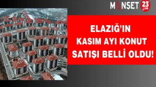 Elazığ’ın Kasım ayı konut satışı belli oldu!