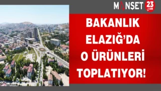 Bakanlık Elazığ’da o ürünleri toplatıyor!