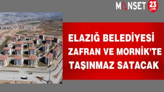 Elazığ Belediyesi Zafran ve Mornik’te taşınmaz satacak