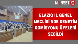 Elazığ İl Genel Meclisi'nde Denetim Komisyonu Üyeleri seçildi