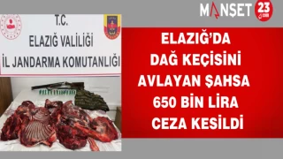 Elazığ’da Dağ Keçisini Avlayan Şahsa 650 Bin Lira Ceza Kesildi