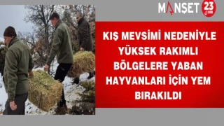 Kış Mevsimi Nedeniyle Yüksek Rakımlı Bölgelere Yaban Hayvanları İçin Yem Bırakıldı