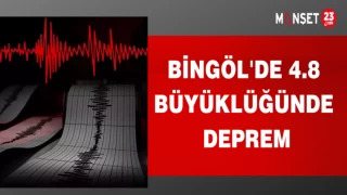 BİNGÖL'DE 4,8 BÜYÜKLÜĞÜNDE DEPREM
