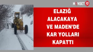 ELAZIĞ ALACAKAYA VE MADEN'DE KAR YOLLARI KAPATTI