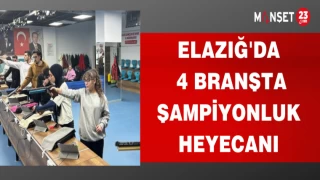 ELAZIĞ'DA 4 BRANŞTA ŞAMPİYONLUK HEYECANI