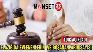 ELAZIĞ'DA EVLENENLERİN VE BOŞANANLARIN SAYISI