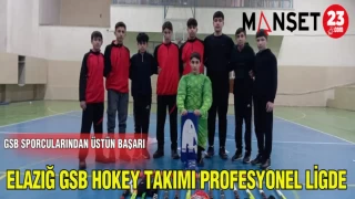 ELAZIĞ'DA HOKEY TAKIMI PROFESYONEL LİGDE