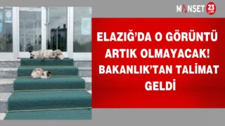 Elazığ’da o görüntü artık olmayacak! Bakanlık’tan talimat geldi