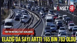 ELAZIĞ'DA SAYISI ARTTI 165 BİN 783 OLDU