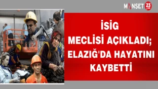 İSİG MECLİSİ AÇIKLADI; ELAZIĞ'DA 2024 YILINDA KAÇ KİŞİ HAYATINI KAYBETTİ