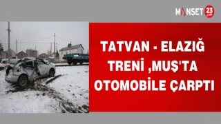 TATVAN - ELAZIĞ TRENİ ,MUŞ'TA OTOMOBİLE ÇARPTI