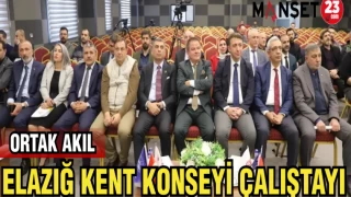 ELAZIĞ KENT KONSEYİ ÇALIŞTAYI