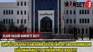 ELAZIĞ VALİLİĞİ,SAHİPSİZ SOKAK HAYVANLARININ GÜVENLİ BİR ORTAMDA BARINMASINI SAĞLAMAK AMACIYLA YENİ BİR PROJE BAŞLATTI