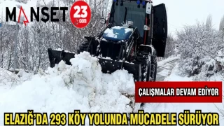 ELAZIĞ'DA 293 KÖY YOLUNDA MÜCADELE SÜRÜYOR