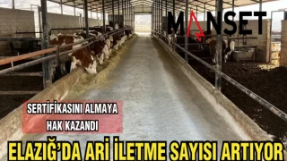 ELAZIĞ'DA ARİ İLETME SAYISI ARTIYOR