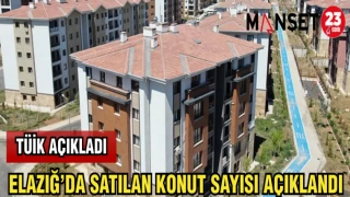 ELAZIĞ'DA SATILAN KONUT SAYISI AÇIKLANDI