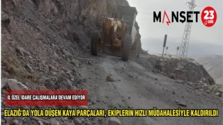 ELAZIĞ'DA YOLA DÜŞEN KAYA PARÇALARI, EKİPLERİN HIZLI MÜDAHALESİYLE KALDIRILDI