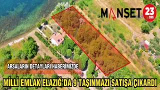 MİLLİ EMLAK ELAZIĞ'DA 9 TAŞINMAZI SATIŞA ÇIKARDI