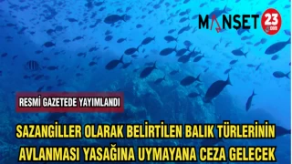 SAZANGİLLER OLARAK BELİRTİLEN BALIK TÜRLERİNİN AVLANMASI YASAĞINA UYMAYANA CEZA GELECEK