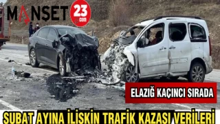 ŞUBAT AYINA İLİŞKİN TRAFİK KAZASI VERİLERİ