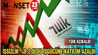 TÜİK: İŞSİZLİK % 8,2 OLDU İŞ GÜCÜNE KATILIM AZALDI