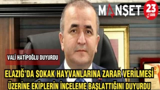 VALİ HATİPOĞLU: ELAZIĞ'DA SOKAK HAYVANLARINA ZARAR VERİLMESİ ÜZERİNE EKİPLERİN İNCELEME BAŞLATTIĞINI DUYURDU