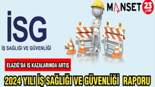 2024 YILI İŞ SAĞLIĞI VE GÜVENLİĞİ RAPORU