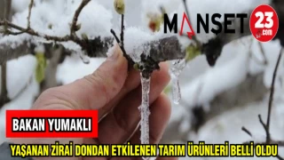 BAKAN YUMAKLI : YAŞANAN ZİRAİ DONDAN ETKİLENEN TARIM ÜRÜNLERİ BELLİ OLDU