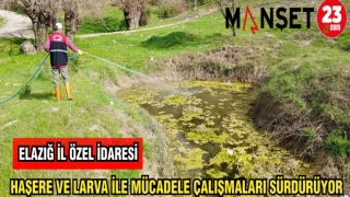 ELAZIĞ İL ÖZEL İDARESİ HAŞERE VE LAVRA İLE MÜCADELE ÇALIŞMALARINI SÜRDÜRÜYOR